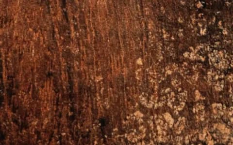 Retro wood door finish sample