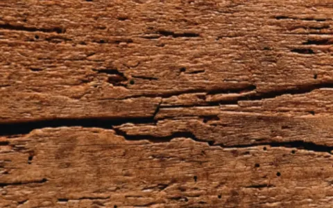 Old wood finish