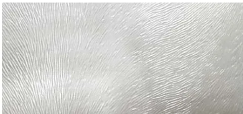 Chinchilla textured glass